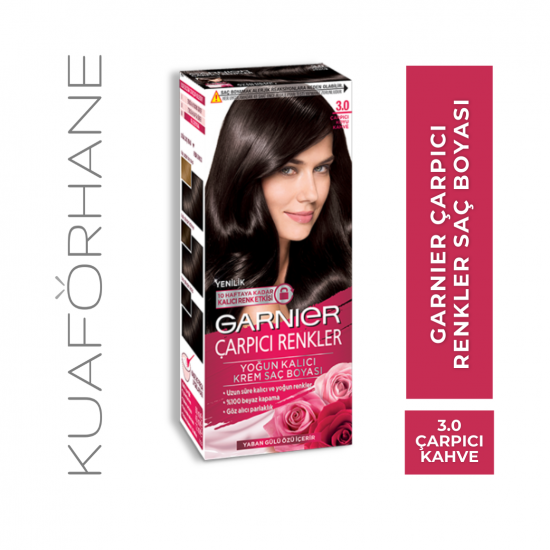 GARNIER ÇARPICI RENKLER SAÇ BOYASI ÇARPICI KOYU KAHVE 3.0