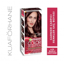 GARNIER ÇARPICI RENKLER SAÇ BOYASI BUZLU KESTANE 4.15