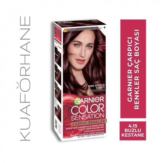 GARNIER ÇARPICI RENKLER SAÇ BOYASI BUZLU KESTANE 4.15